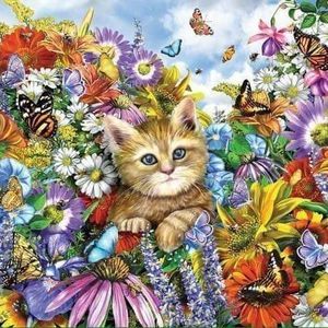 Meet your Posher, Jami